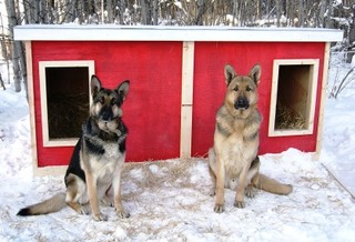 Josie and Rocky